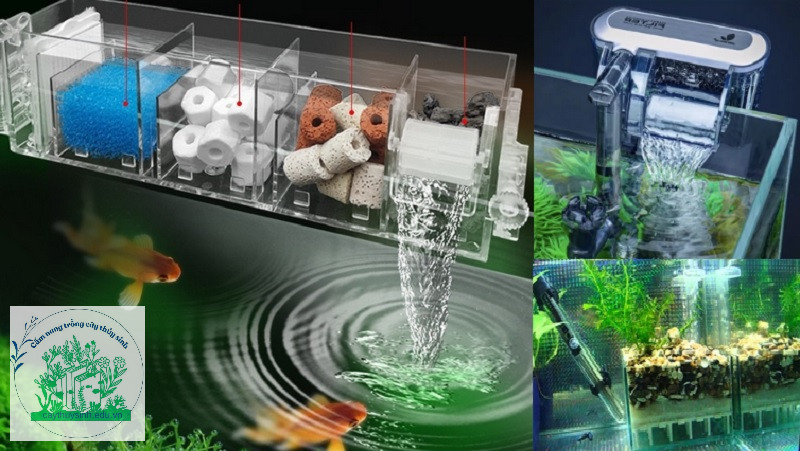 Các loại lọc hồ thủy sinh phổ biến