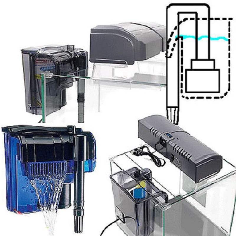 Cách sử dụng và bảo trì các loại lọc hồ thủy sinh