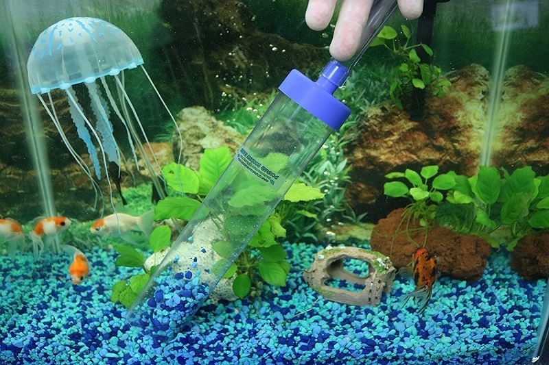 Thay nước định kỳ cho hồ cá