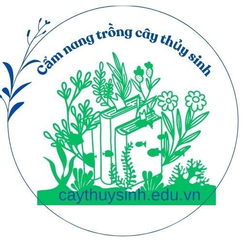 Cẩm nang cây thủy sinh